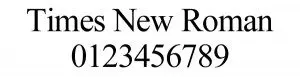 Times New Roman