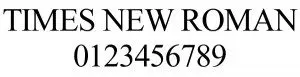 Times New Roman