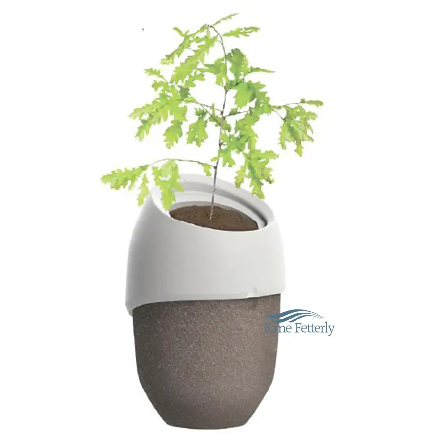 Ecological tree urn