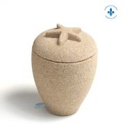 Sand miniature urn with starfish