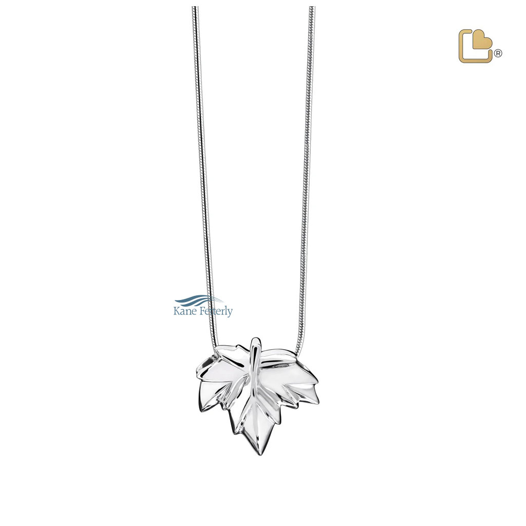 Chaîne en argent sterling incluse dans le prix