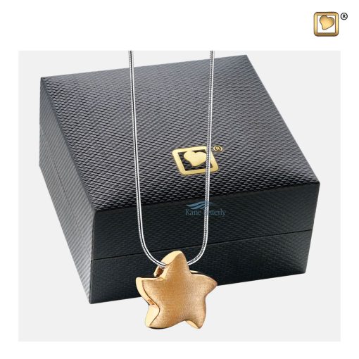 Star pendant for ashes shown with jewelry box