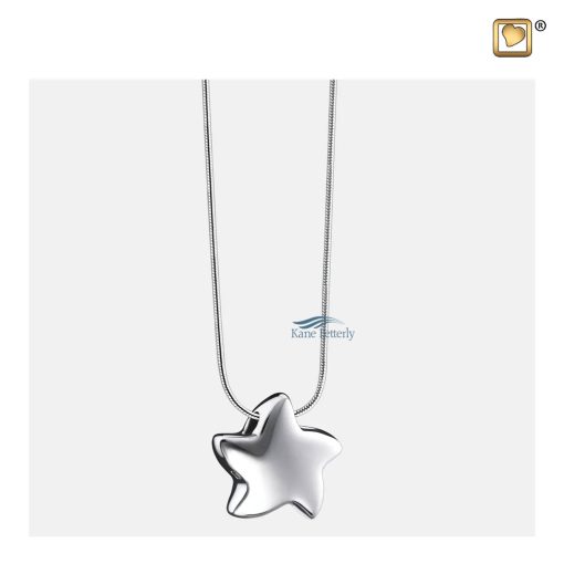 Sterling silver chain included in the price
