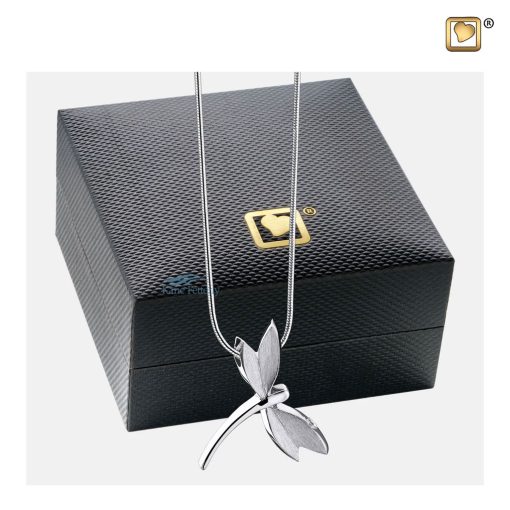 Pendentif pour cendres en forme de libellule illustré avec coffret à bijoux