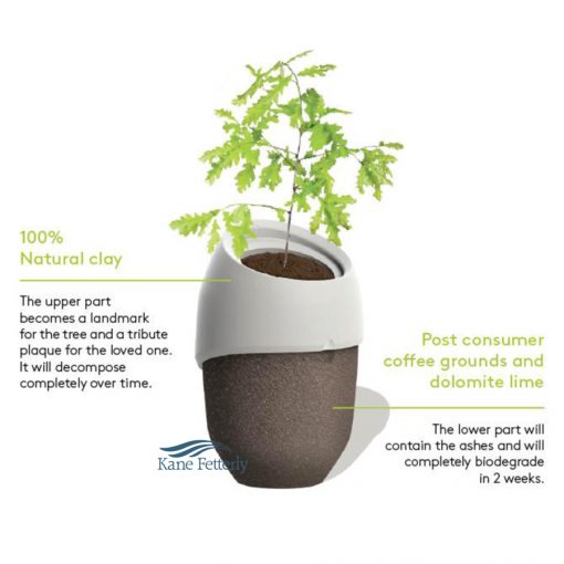 Tree ecological urn