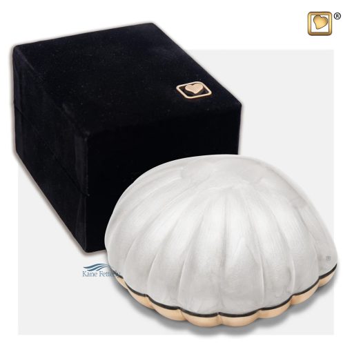 Seashell miniature urn shown with box