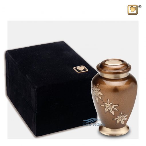 Miniature urn shown with box