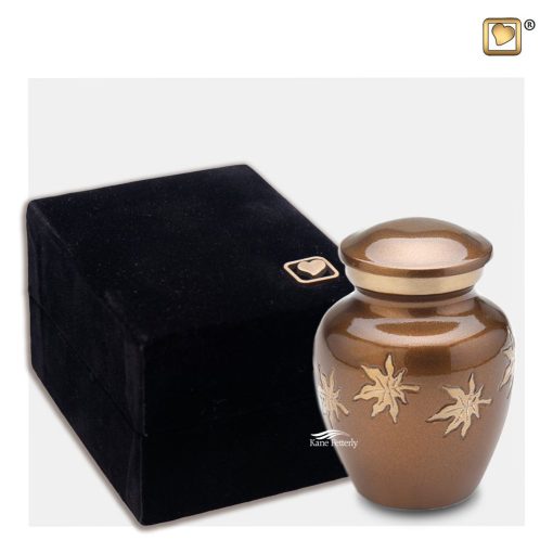 Brown miniature urn with leaves shown with box