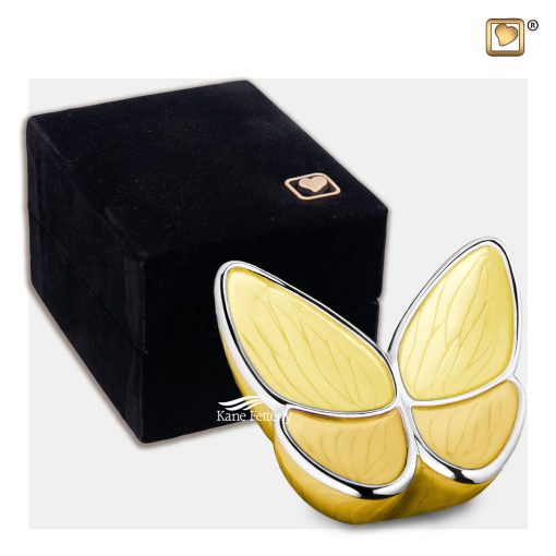 Yellow butterfly miniature urn shown with box