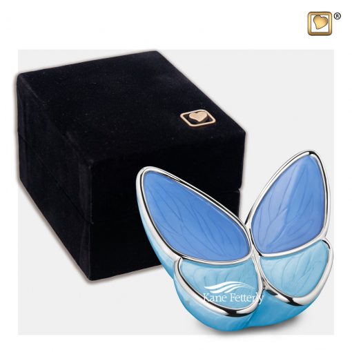 Urne miniature en papillion illustrée avec boite