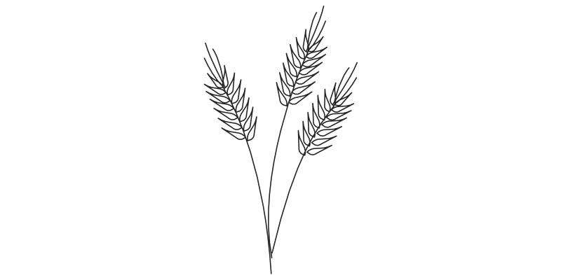 Wheat sheafs