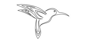 Hummingbird