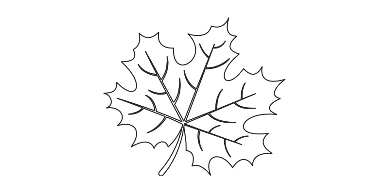 Maple Leaf