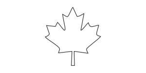 Maple Leaf 01