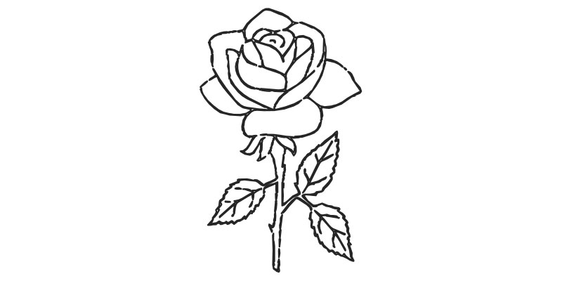 Rose 03 (927)